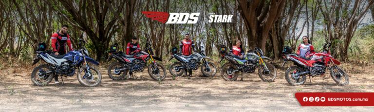 BANNERS_FAM STARK_REVISTA 400_1000X300