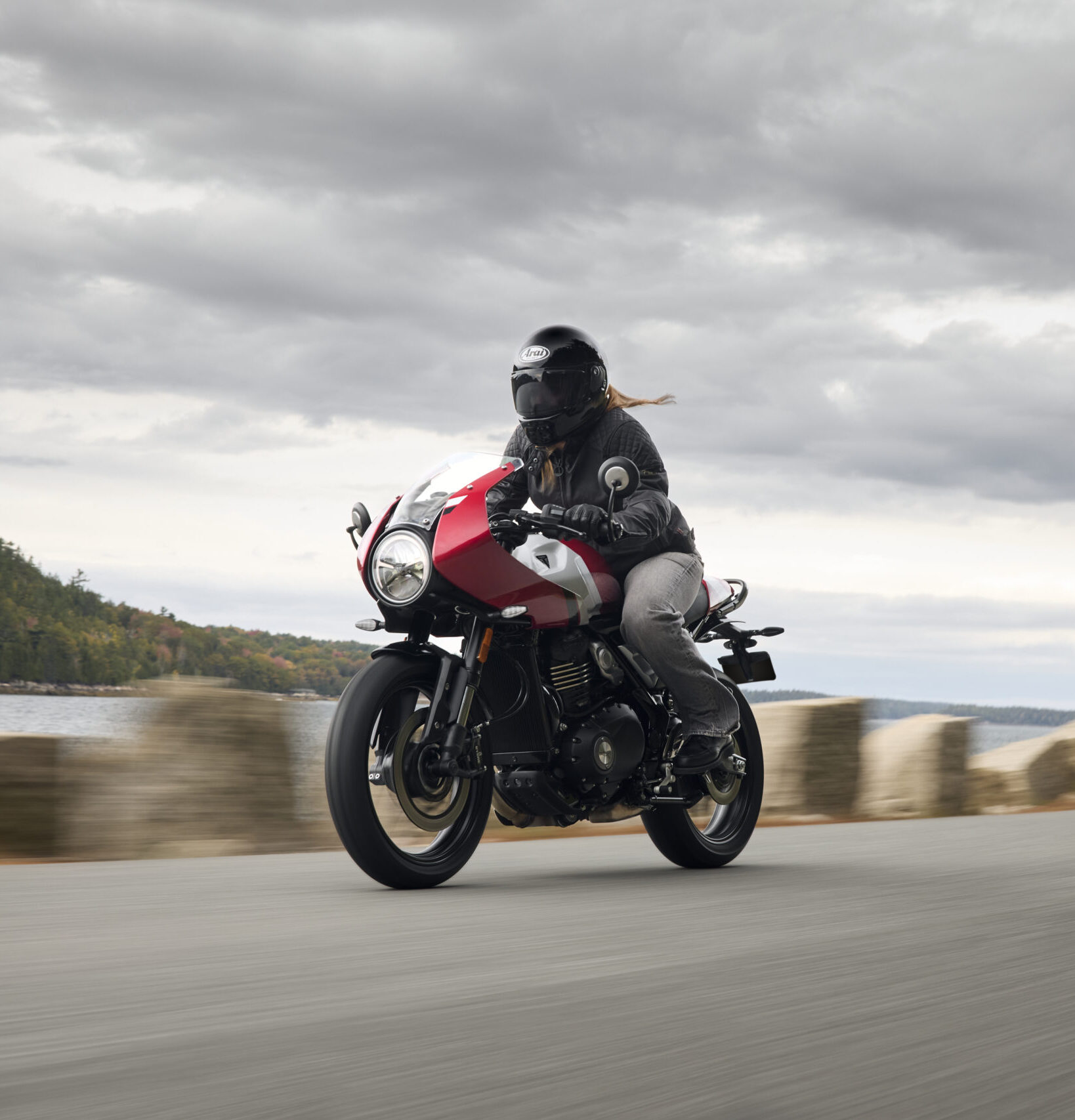 TRIUMPH AMPLÍA SU CATÁLOGO DE 400 CC.